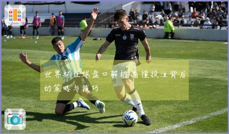 世界杯让球盘口解析 看懂投注背后的策略与技巧