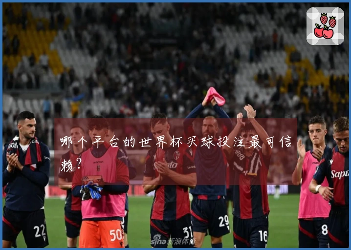 哪个平台的世界杯买球投注最可信赖？