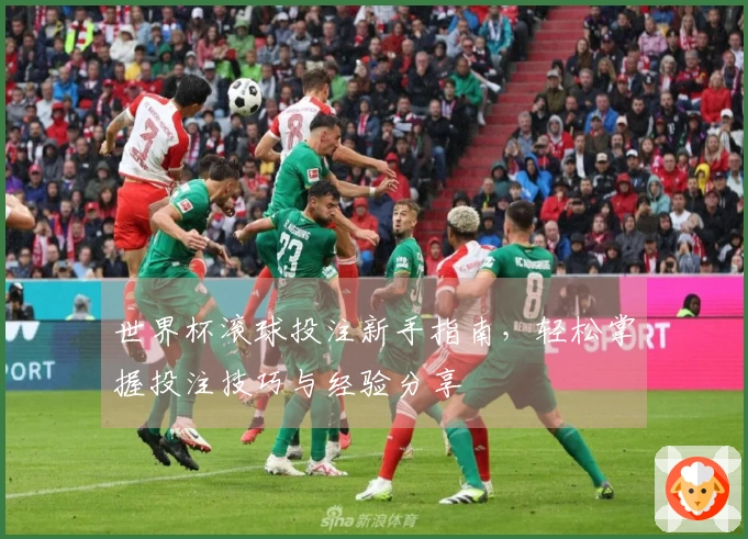 世界杯滚球投注新手指南，轻松掌握投注技巧与经验分享
