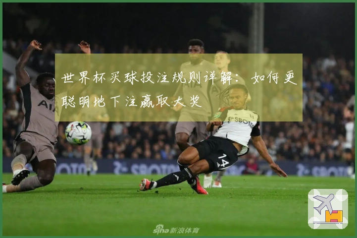 世界杯买球投注规则详解：如何更聪明地下注赢取大奖