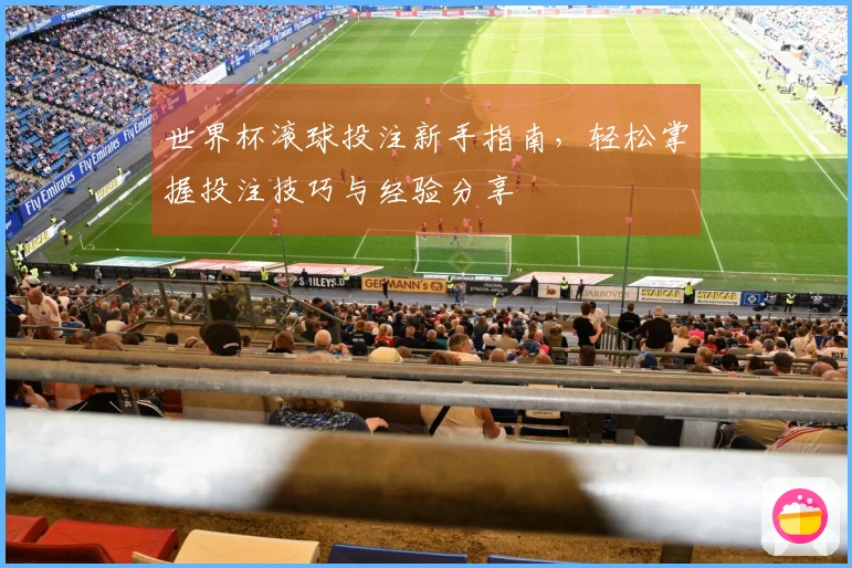 世界杯滚球投注新手指南，轻松掌握投注技巧与经验分享