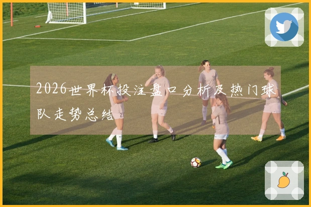 2026世界杯投注盘口分析及热门球队走势总结